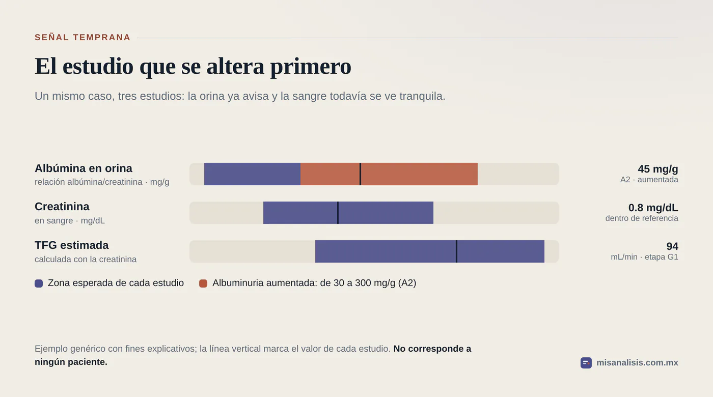 Tres pistas de un mismo caso: la albúmina en orina en 45 mg/g queda fuera de la zona esperada, mientras la creatinina de 0.8 mg/dL y la TFG de 94 siguen dentro.