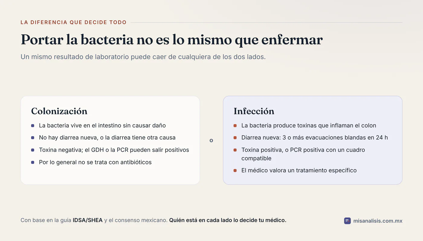 Comparación en dos columnas entre colonización por C. difficile, en la que la bacteria vive en el intestino sin causar diarrea, e infección, en la que produce toxinas y hay tres o más evacuaciones blandas en 24 horas.