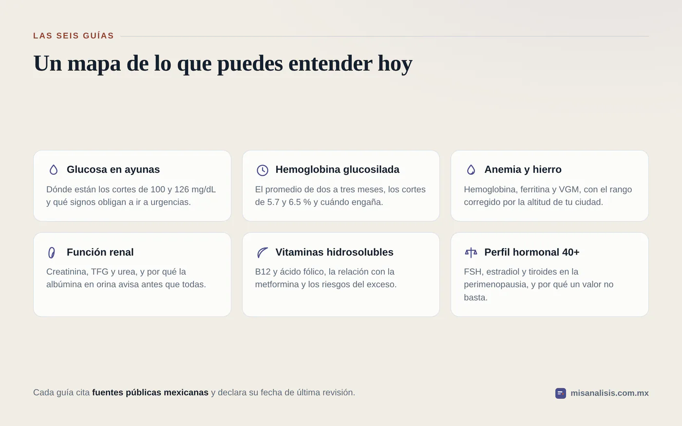 Rejilla con las seis guías del sitio: glucosa en ayunas, hemoglobina glucosilada, anemia y hierro, función renal, vitaminas hidrosolubles y perfil hormonal después de los 40.