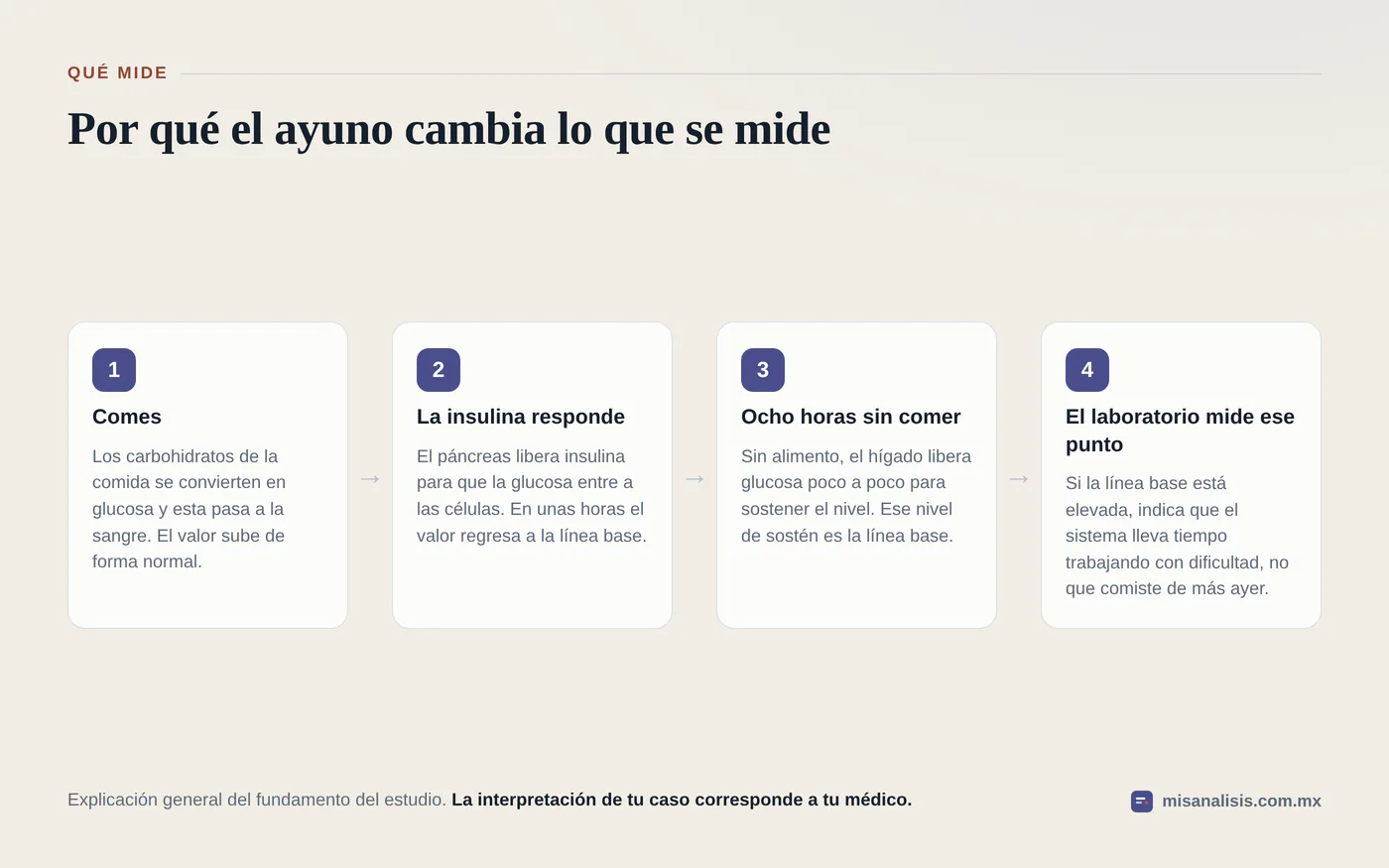 Diagrama de cuatro pasos que explica qué mide la glucosa en ayunas: la comida eleva el azúcar, la insulina lo baja, tras ocho horas queda la línea base y el laboratorio mide ese punto.